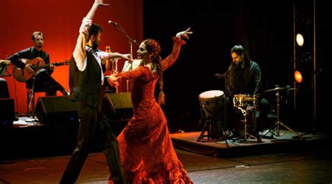 Alma Flamenco Fever: A Night of Passion and Spanish Flair with Antonia!